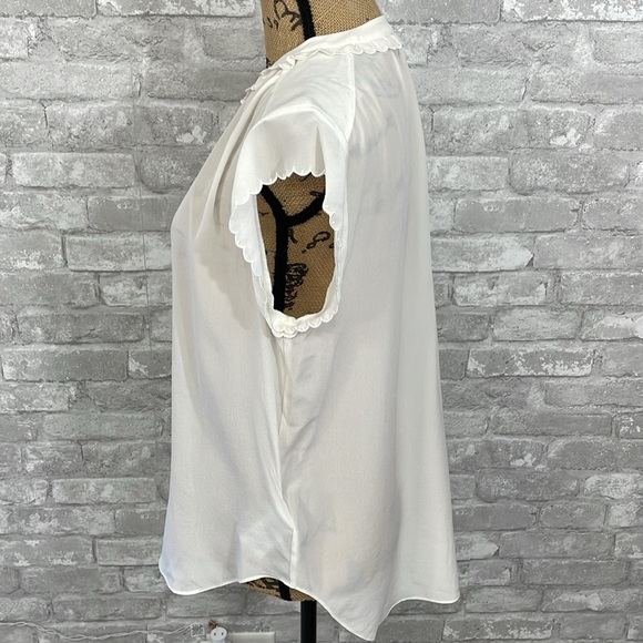 Joie Dainty Ruffle Sheer Silk Blouse - Picture 3 of 6